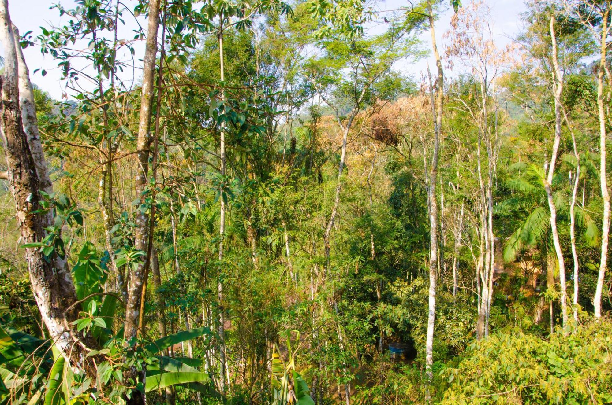 Pousada Aconchego Shangrilla Penedo  Luaran gambar